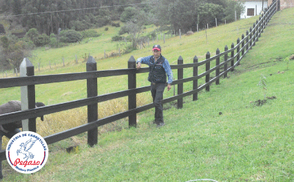 madera platica, construcción de cercas, fabricantes de cercas, postes plásticos, polines plásticos, madera ecológica, corrales de finca